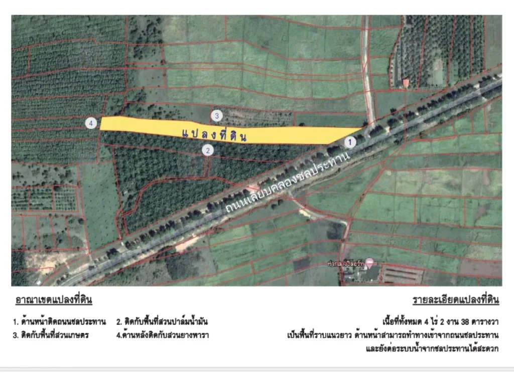 ที่ดินสวย ทำเลดี ห่างถนนตรัง-พัทลุงเพียง 900 เมตร ในซอยถนนลาดยางติดไทวัสดุ สาขาตรัง