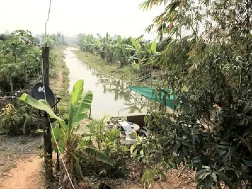 ขายที่ดินพร้อมทำการเกษตรแบบผสมผสาน พร้อมบ้านไม้สัก 2หลัง และโรงจอดรถ จลำพูน