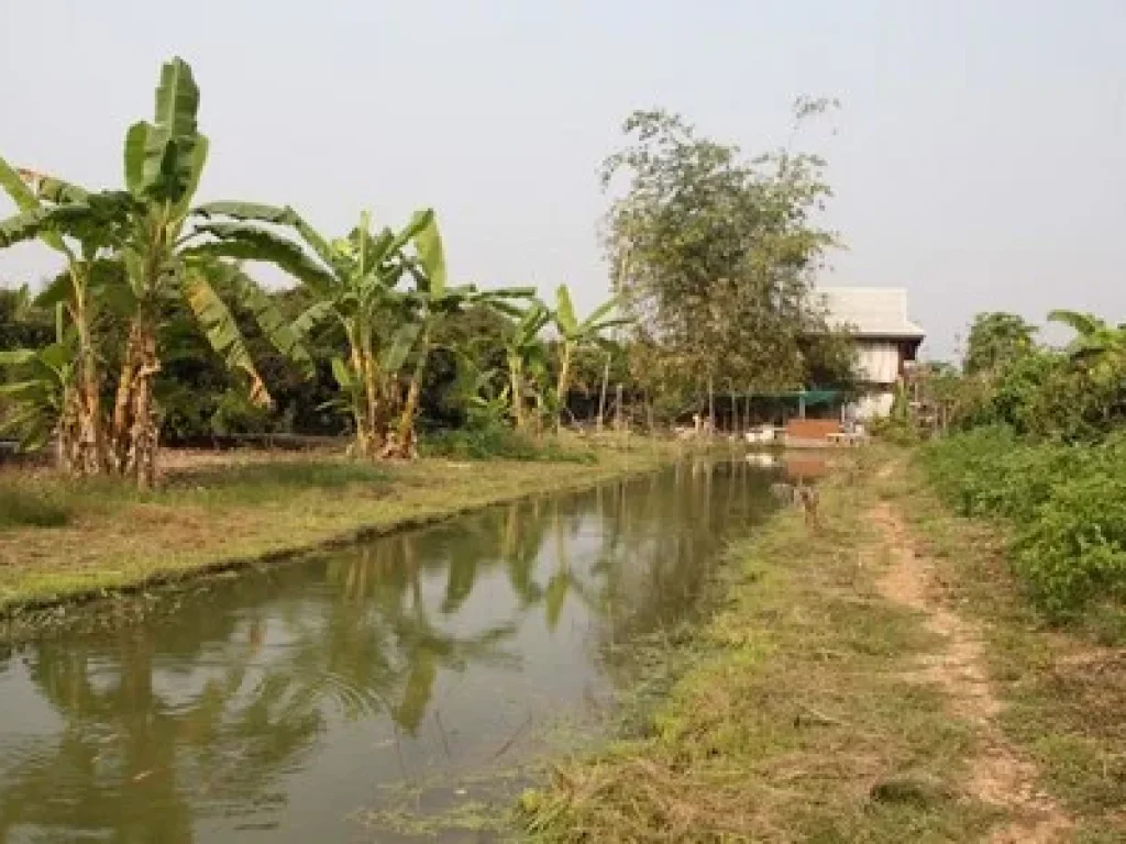 ขายที่ดินพร้อมทำการเกษตรแบบผสมผสาน พร้อมบ้านไม้สัก 2หลัง และโรงจอดรถ จลำพูน