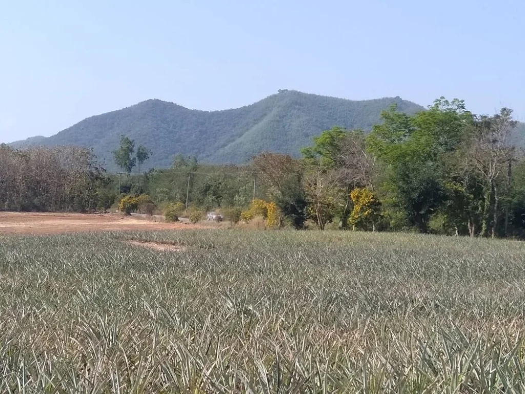 ขายที่ดิน ใกล้วิวภูเขา โอบล้อมด้วยธรรมชาติ อท่ายาง จเพชรบุรี