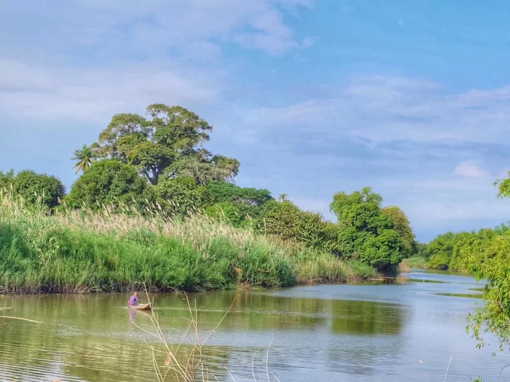 ขายด่วน บ้านสวนพร้อมที่ดิน หลังบ้านติดแม่น้ำท่าจีน ในอำเภอเมืองสุพรรณ บรรยากาศดี ใกล้กรุงเทพ เดินทางสะดวก