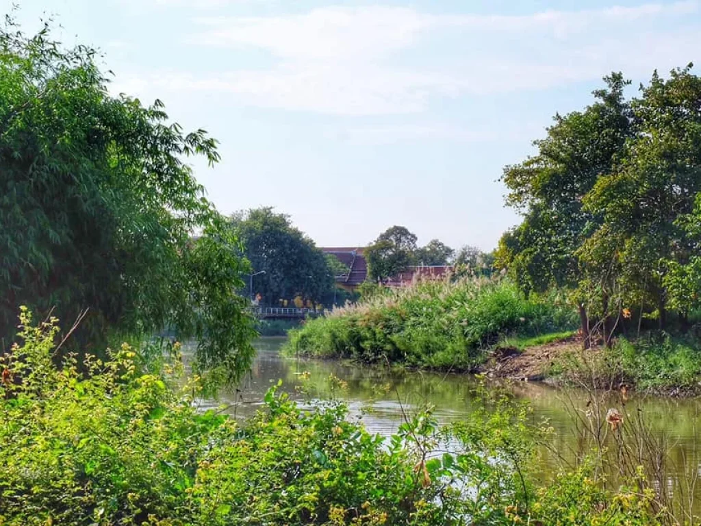 ขายด่วน บ้านสวนพร้อมที่ดิน หลังบ้านติดแม่น้ำท่าจีน ในอำเภอเมืองสุพรรณ บรรยากาศดี ใกล้กรุงเทพ เดินทางสะดวก