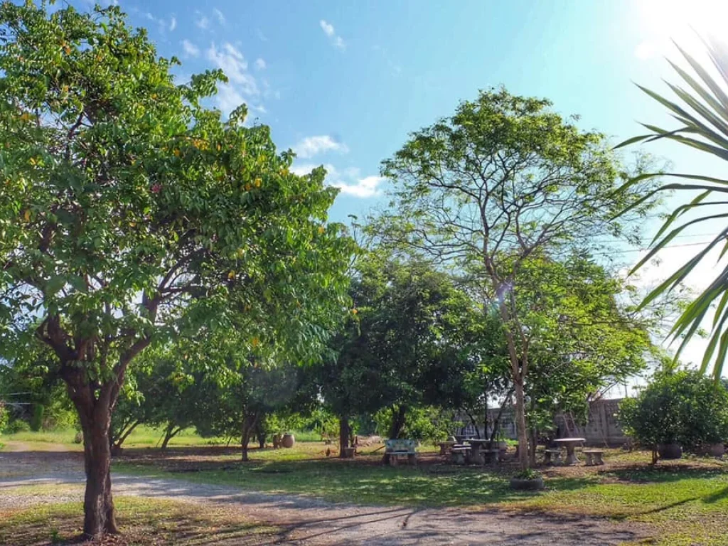 ขายด่วน บ้านสวนพร้อมที่ดิน หลังบ้านติดแม่น้ำท่าจีน ในอำเภอเมืองสุพรรณ บรรยากาศดี ใกล้กรุงเทพ เดินทางสะดวก