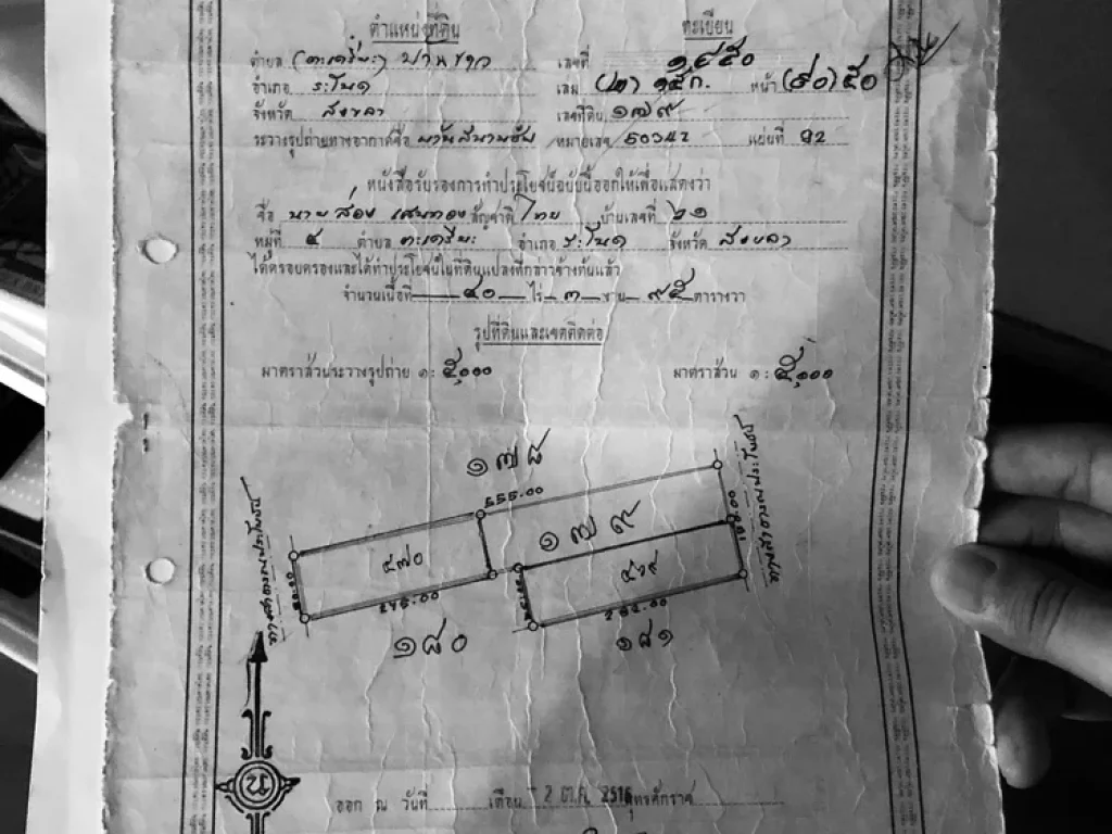 เจ้าของขายเอง ขายที่ดิน 15 ไร่ 3 งาน 95 ตรว มีใบ นส3ก