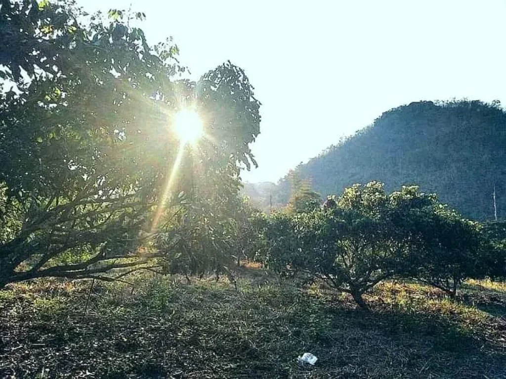 ที่ดินแปลงสวย ติดถนนสายหลัก บนเนิน เห็นวิวสวย เมืองน่าน