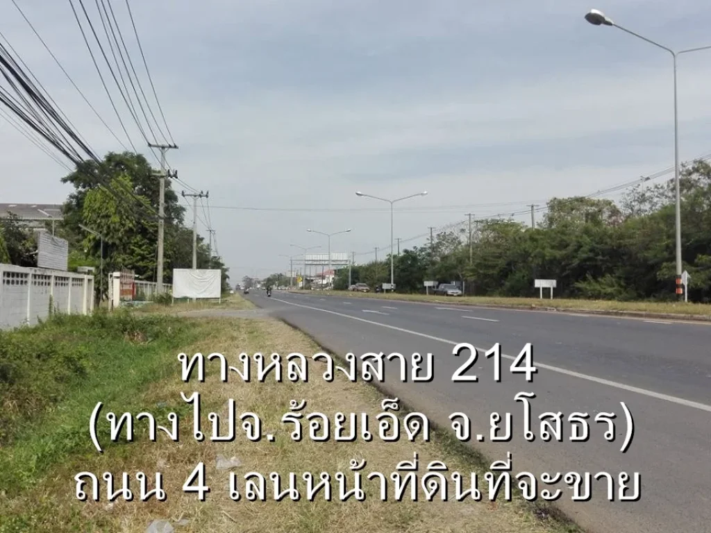 ลดราคาภายในปีนี้เท่านั้น ขายที่ดินในตัวเมืองสุรินทร์ 315 ไร่