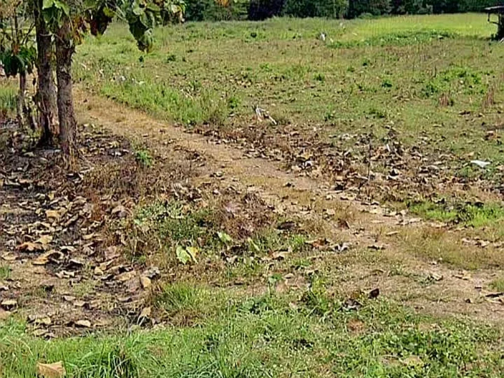 ที่ดินแปลงสวย วิวสวย ติดถนนลาดยางราคาถูก อุตรดิตถ์