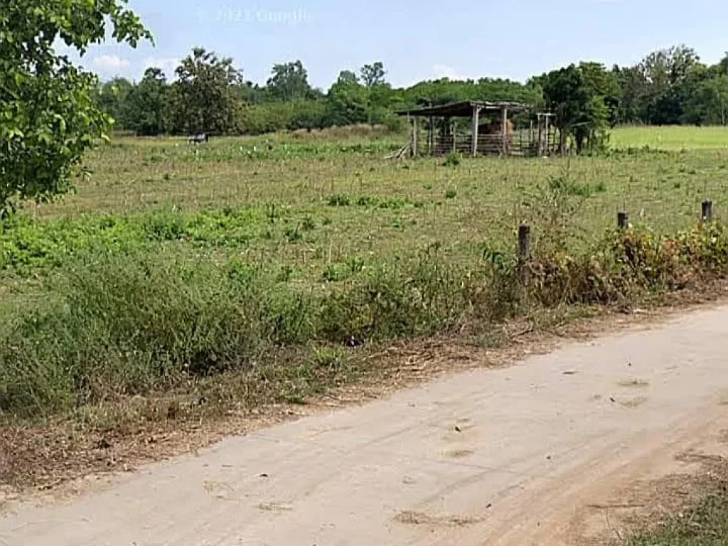 ที่ดินแปลงสวย วิวสวย ติดถนนลาดยางราคาถูก อุตรดิตถ์