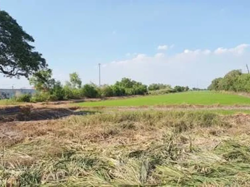 ขาย ที่ดิน 59 ไร่กว่า คลองสี่ ระพีพัฒน์ ถนนประตูพระอินทร์ ปทุมธานี อยุธยา