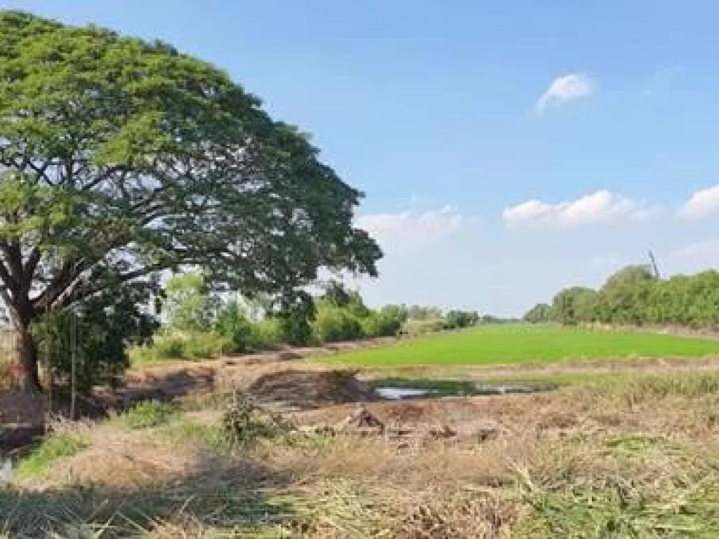 ขาย ที่ดิน 59 ไร่กว่า คลองสี่ ระพีพัฒน์ ถนนประตูพระอินทร์ ปทุมธานี อยุธยา