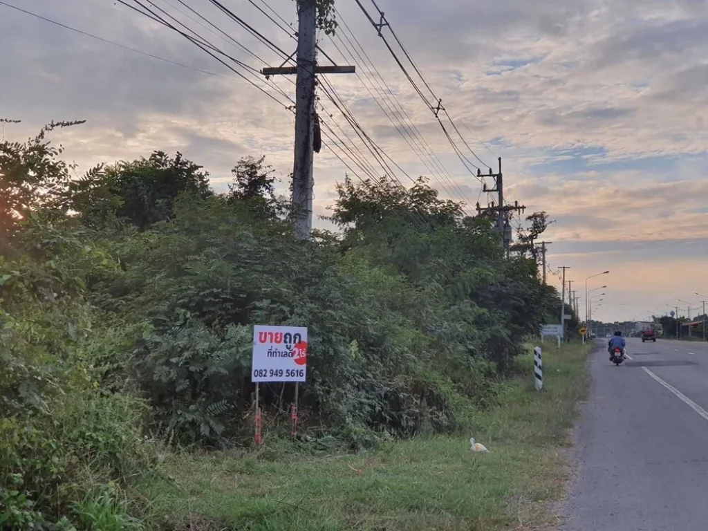 ขายที่ดินสวยโฉนด ลำปลายมาศ-บุรีรัมย์ ทางหลวง 2264 เลน 2 ไร่ 2 ล้านบาทไร่ ใกล้โรบินสันบุรีรัมย์ และสนามช้างอารีน่า