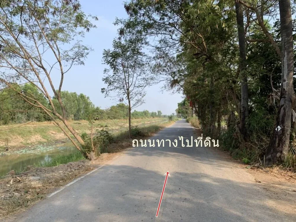 ขายที่ดิน 34-3-80ไร่ ตบางลูกเสือ อองค์รักษ์ ตรงข้ามทางเข้าวัดพงษ์โสภณ ไร่ละ 25 แสน