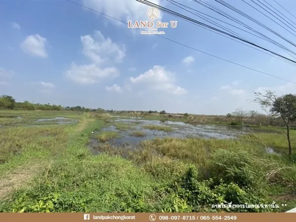 ขายที่ดินอยุธยาติดถนน ทำเลดี ใกล้โรบินสันอยุธยาเพียง 10 นาที ตคลองตะเคียน อพระนครศรีอยุธยา จพระนครศรีอยุธยา