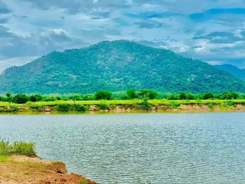 ที่ดินใกล้ถนนบายพาส500เมตร วิวเขาสวย เหมาะสำหรับเกร็งกำไล ทั้งสด-ผ่อน