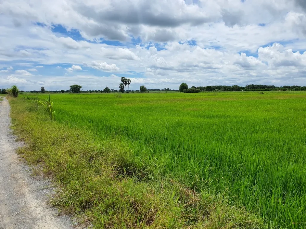 ติดคลองดินท่าสาร บางปลา ติดทาง บรรยากาศธรรมชาติท้องทุ่ง 1ไร่ 369 ตรว