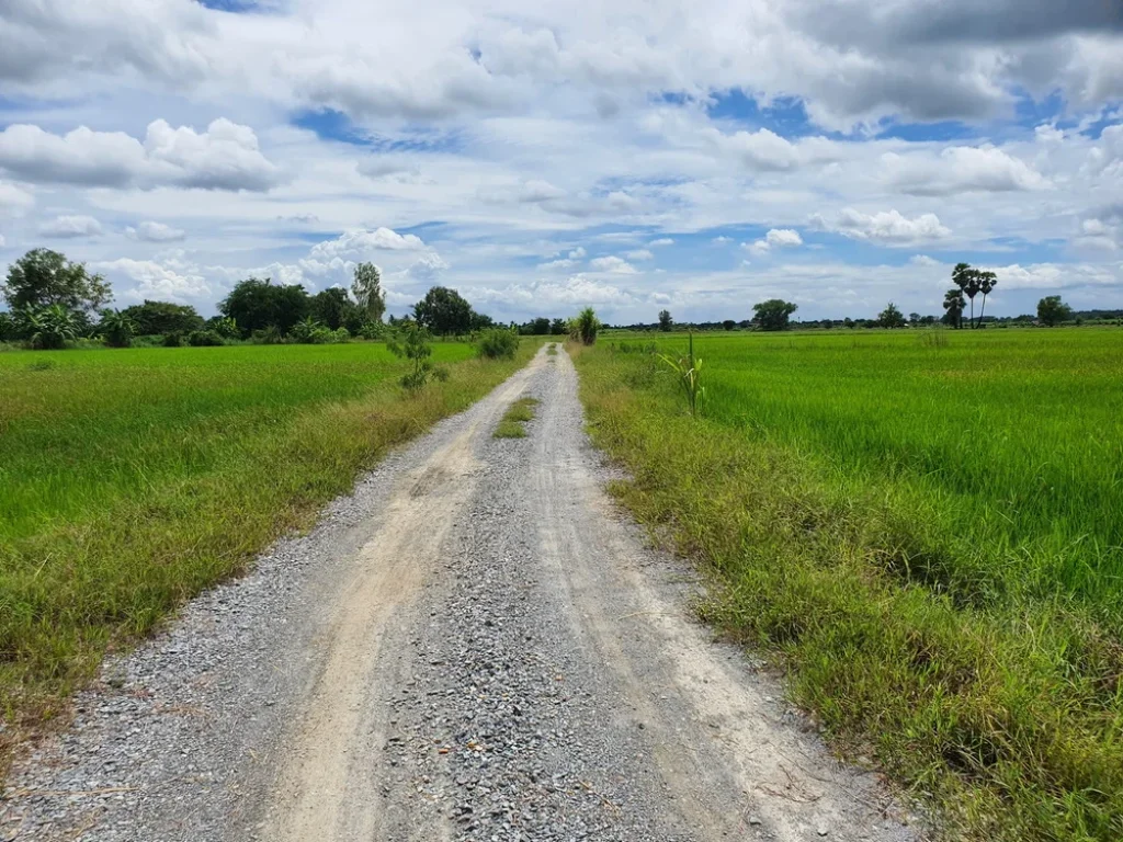 ติดคลองดินท่าสาร บางปลา ติดทาง บรรยากาศธรรมชาติท้องทุ่ง 1ไร่ 369 ตรว