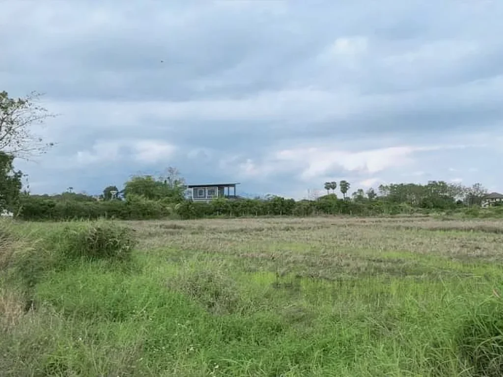 ขายที่สวนบ้านถวายขุนคงห่างอบตเพียง 850 เมตรหางดงพร้อมโอน