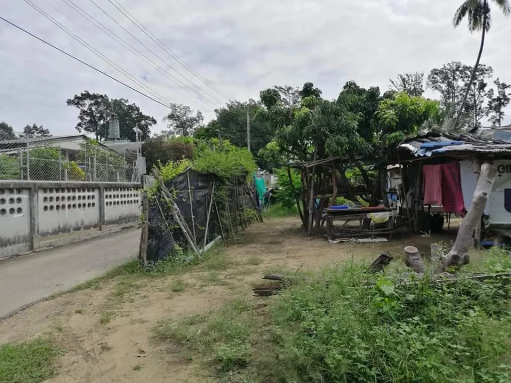 ขายที่ดินบ้านปากกองตำบลยางเนิ้งสารภี ใกล้โรงพยาบาลสารภีพร้อมโอน