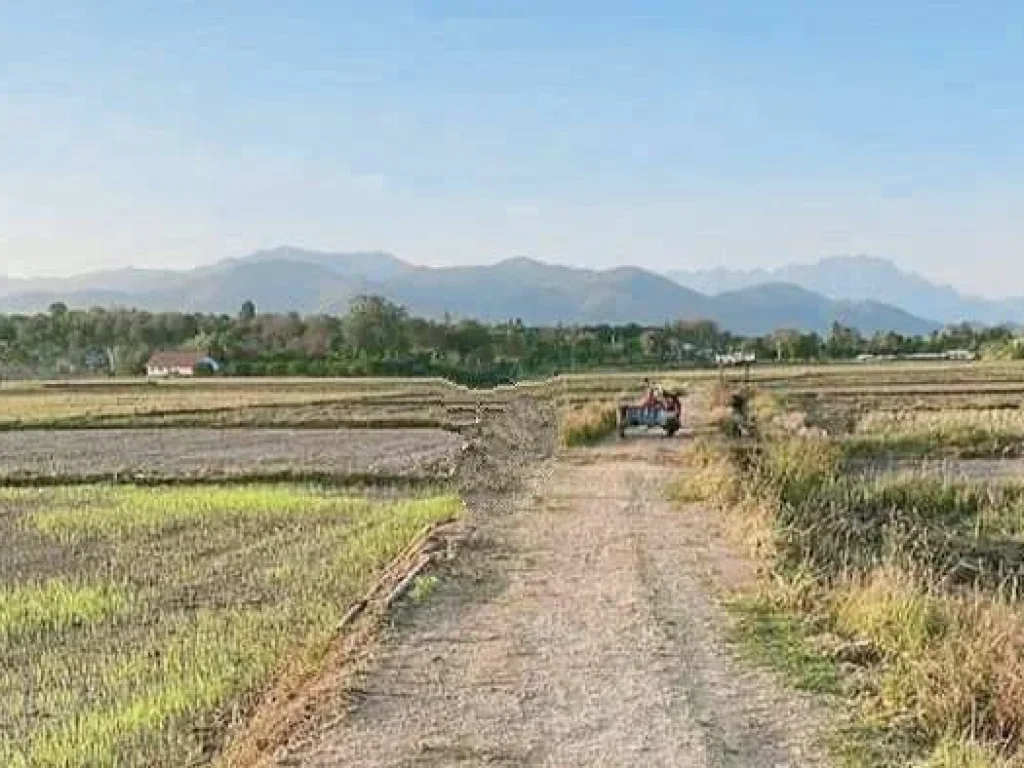 ขายที่ดินบ้านอินทขิลแม่แตงวิวภูเขาพร้อมทำการเกษตรโฉนดพร้อมโอน