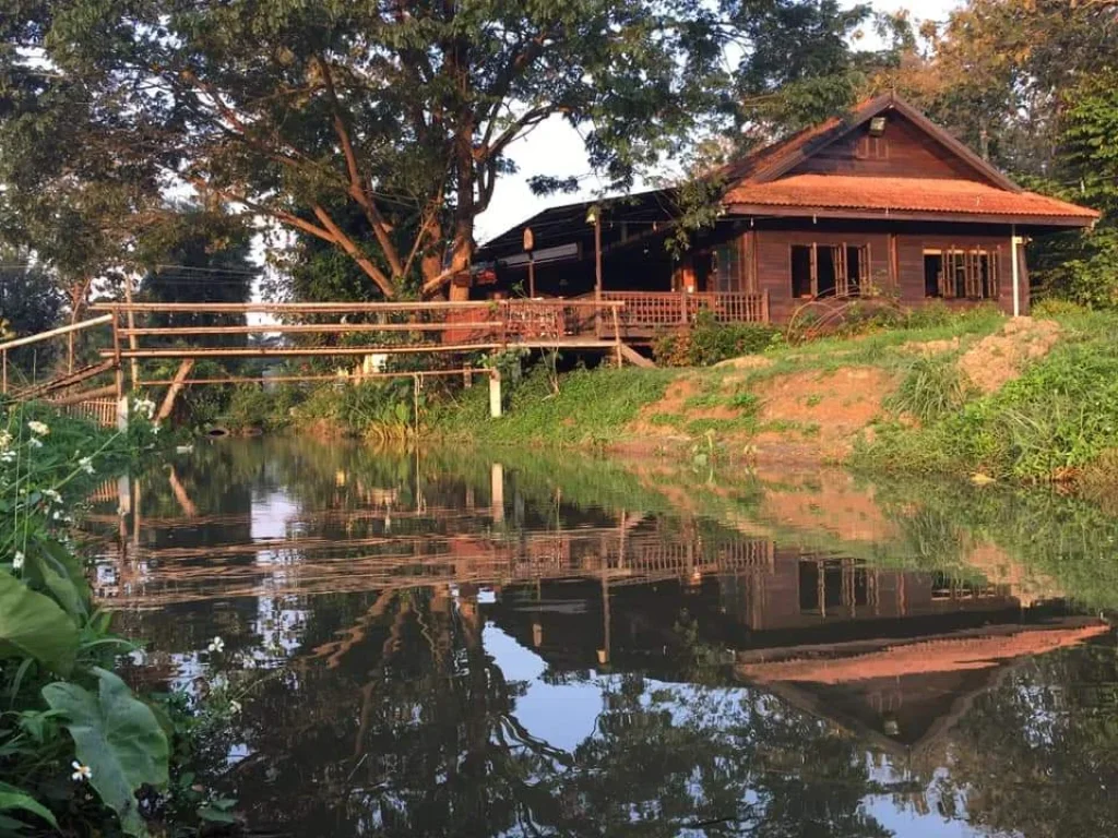 ขายกิจการร้านกาแฟวิวดอยติดลำคลองน้ำแม่ออนโฉนดพร้อมโอน