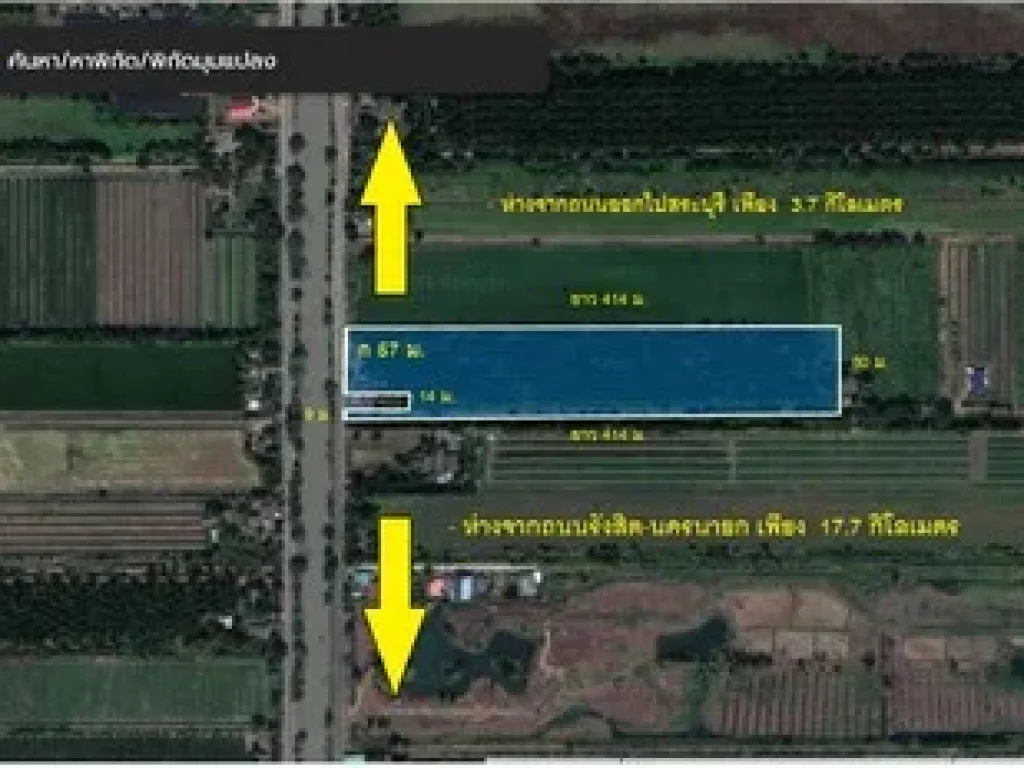 ขายสวนปาล์ม อายุ 8 ปี คลอง 11 หนองเสือ 19 ไร่ พร้อมเก็บผลผลิต มีรายได้ทุกๆเดือน