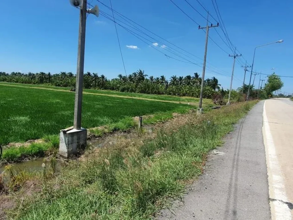 ขายที่ดินเปล่า สวย สภาพแวดล้อมดี คลอง 7 ลำลูกกา ปทุมธานี 2 ไร่ 2 งาน พื้นที่สีเขียวเหมาะทำธุรกิจ ทำโกดังหรือทำการเกษตร ปลูกบ้านพักตากอากาศ