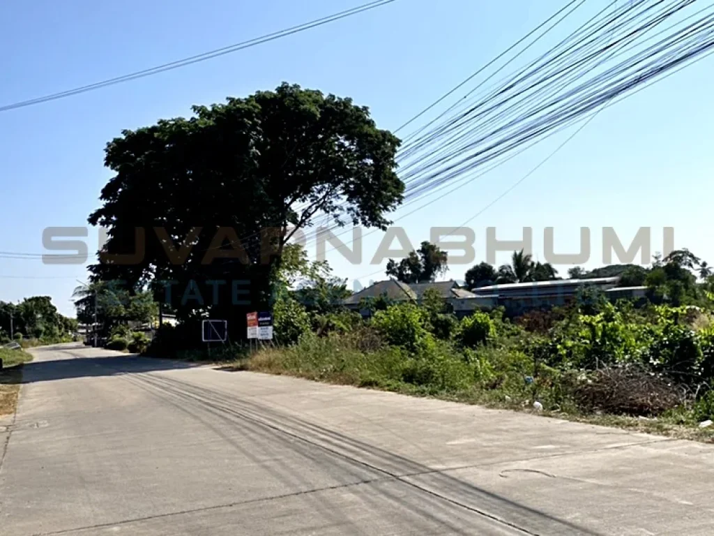 ขาย ที่ดินเปล่า ในโครงการจัดสรร ตพลายชุมพล อเมืองพิษณุโลก จพิษณุโลก