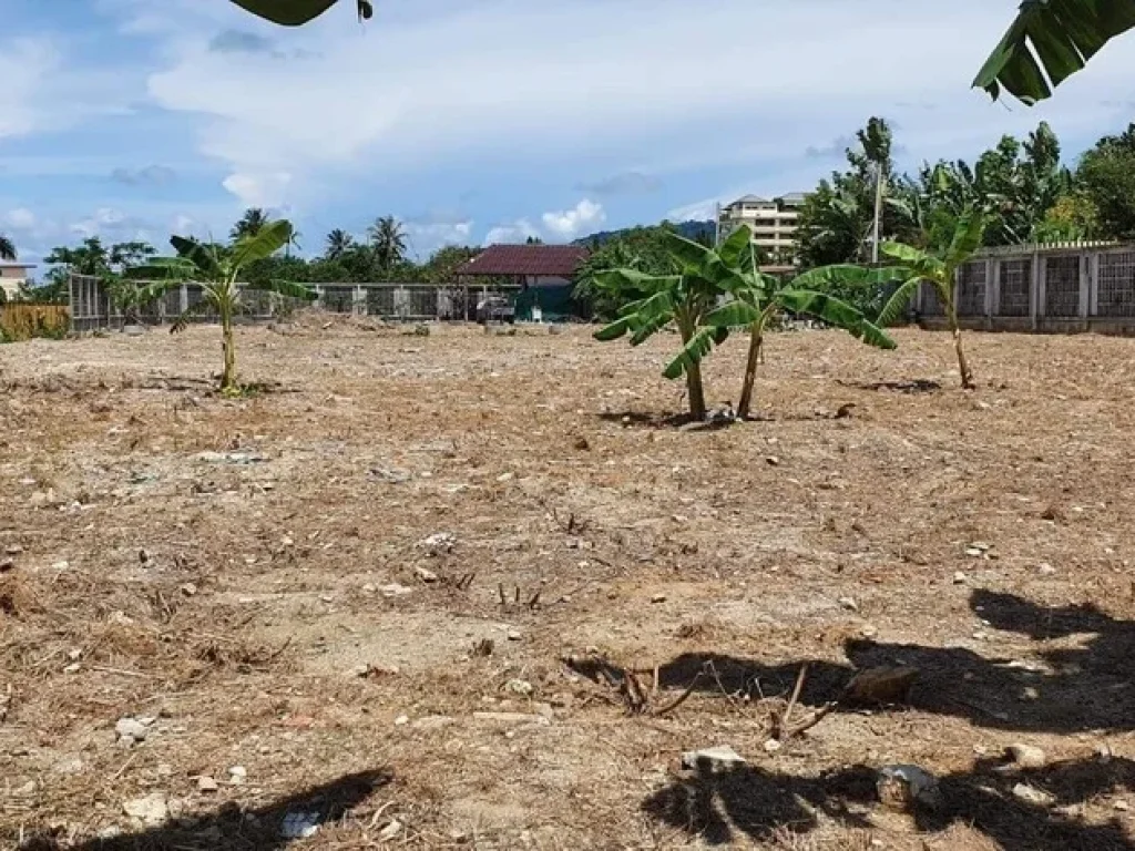 ขายที่ดินใกล้หาดราไวย์ ภูเก็ต เนื้อที่ 2 ไร่ 1 งาน 67 ตรว ราไวย์ ภูเก็ต