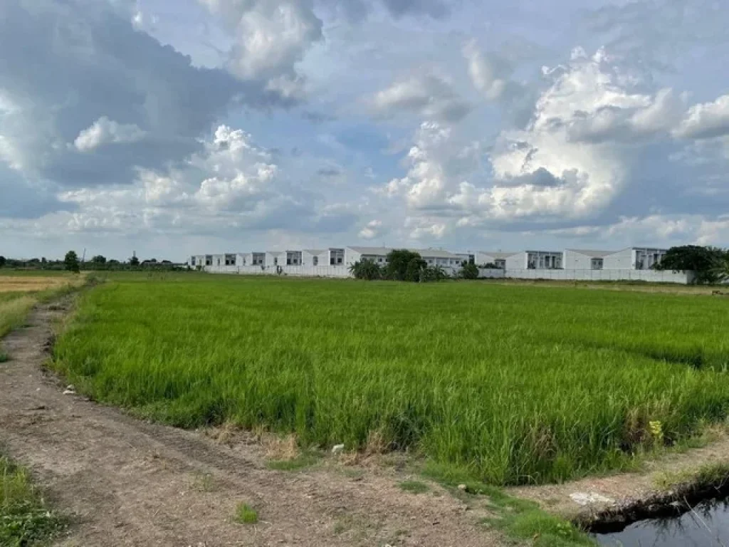 ที่ดิน ติดถนน คอกวัว-โรงโฟม ตำบลบางแม่นาง อำเภอบางใหญ่ จังหวัดนนทบุรี