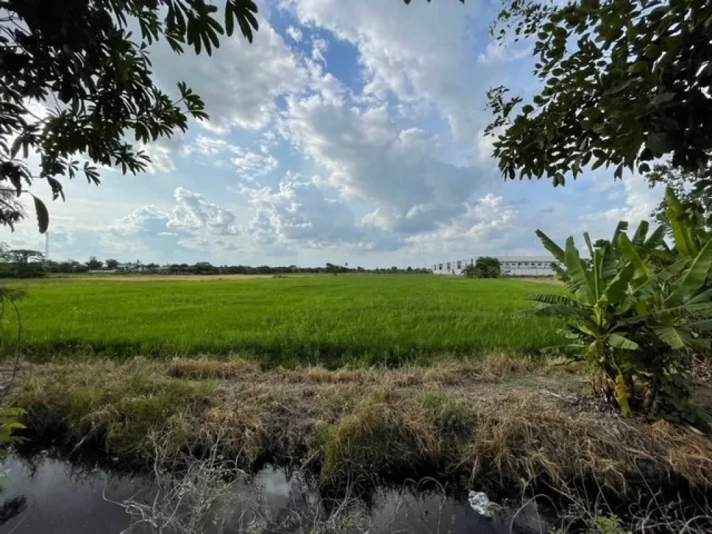 ที่ดิน ติดถนน คอกวัว-โรงโฟม ตำบลบางแม่นาง อำเภอบางใหญ่ จังหวัดนนทบุรี