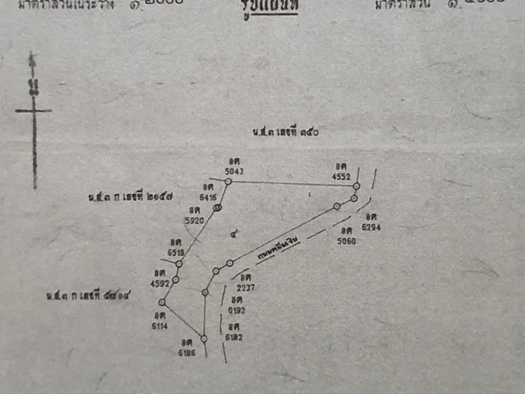 ขายที่ดิน ภูเก็ต ป่าตอง เนื้อที่10ไร่ วิวหาดเมืองป่าตอง Land for sale in Phuket Patong area 10 rai Patong city beach view