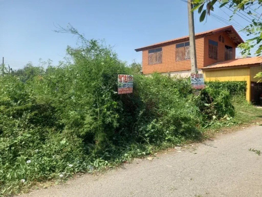 ขายที่ดิน เคหะมีนบุรี คลองเก้า ถนนสุวินทวงศ์ แขวงสามวาตะวันออก เขตคลองสามวา กรุงเทพมหานคร