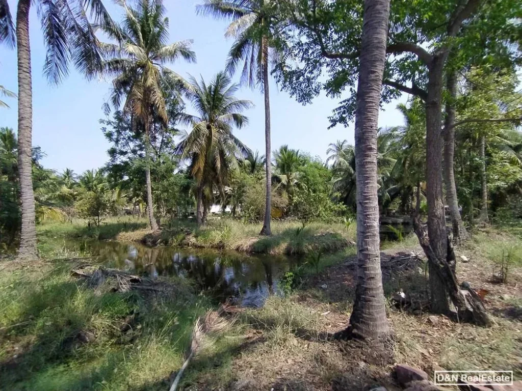 ขาย ที่ดิน 9 ไร่ โรงเข้ บ้านแพ้ว สมุทรสาคร สวนมะพร้าว ติดคลอง ติดถนนทางหลวง เหมาะทำบ้านพัก คาเฟ่