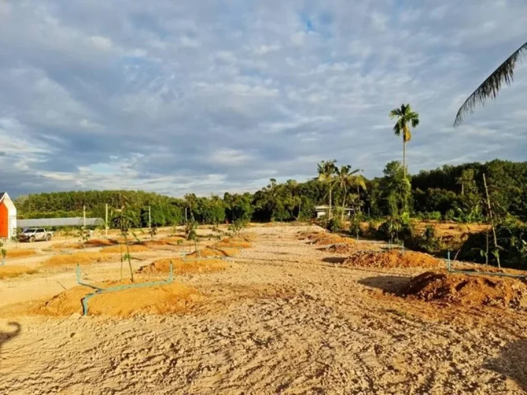 ขายที่ดินสวนผสม บ้านพร้อมสวนองุ่น บ้านวิวเขา ที่ดินสวยราคาถูก ใกล้ทะเล ชากพง แกลง ระยอง