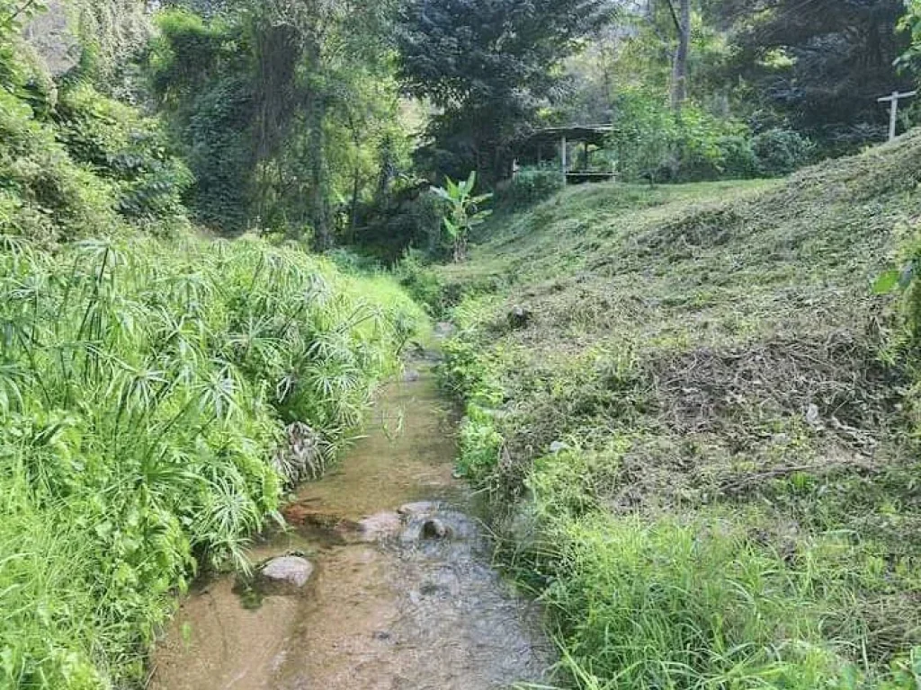 ขายที่ดินแม่ออน ออนเหนือ ติดลำธารน้ำยาว 50 เมตรเอกสารสิทธิ์