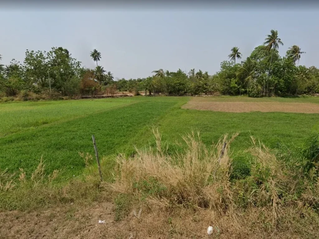 ขายที่ดิน 1 ไร่ ชะอำ เพชรบุรี ห่างหาดชะอำเพียง 57 กม