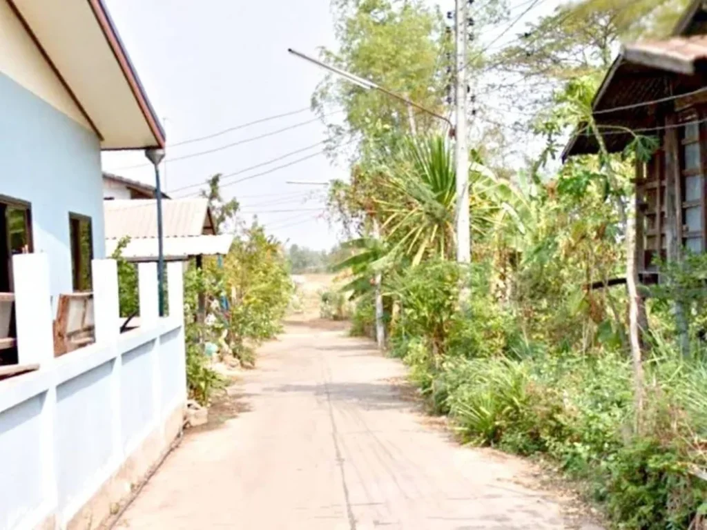 ขายที่ดิน 18 ไร่ ตำบลบ้านจั่น อำเภอเมือง จังหวัดอุดรธานี