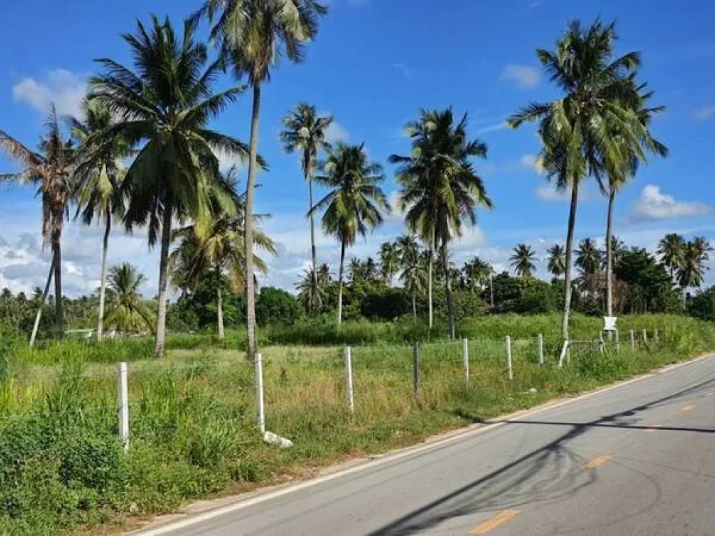 ขายที่ดินเปล่า ติดถนนหลัก ใกล้พัทยา อำเภอบางละมุง จังหวัดชลบุรี