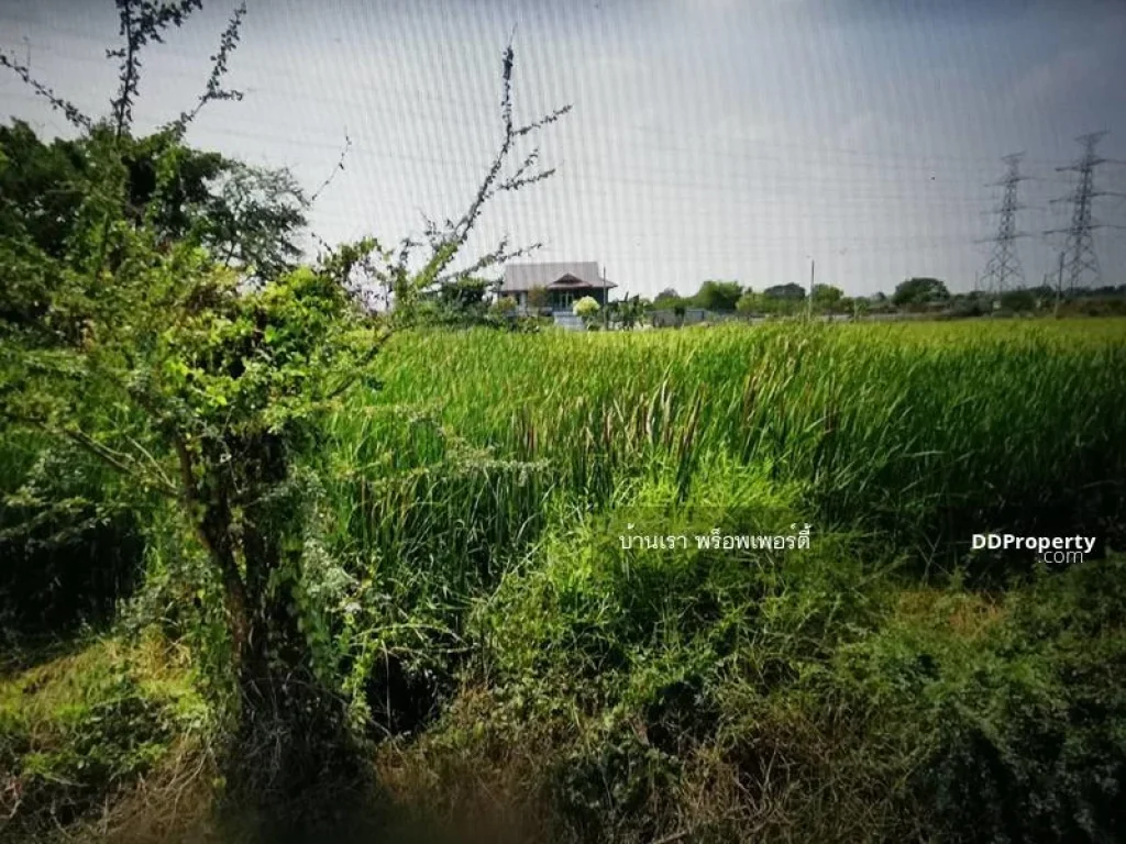 ขายที่ดิน ถนนราษฎร์อุทิศ ซอย 621 แสนแสบ มีนบุรี 272 ตรว