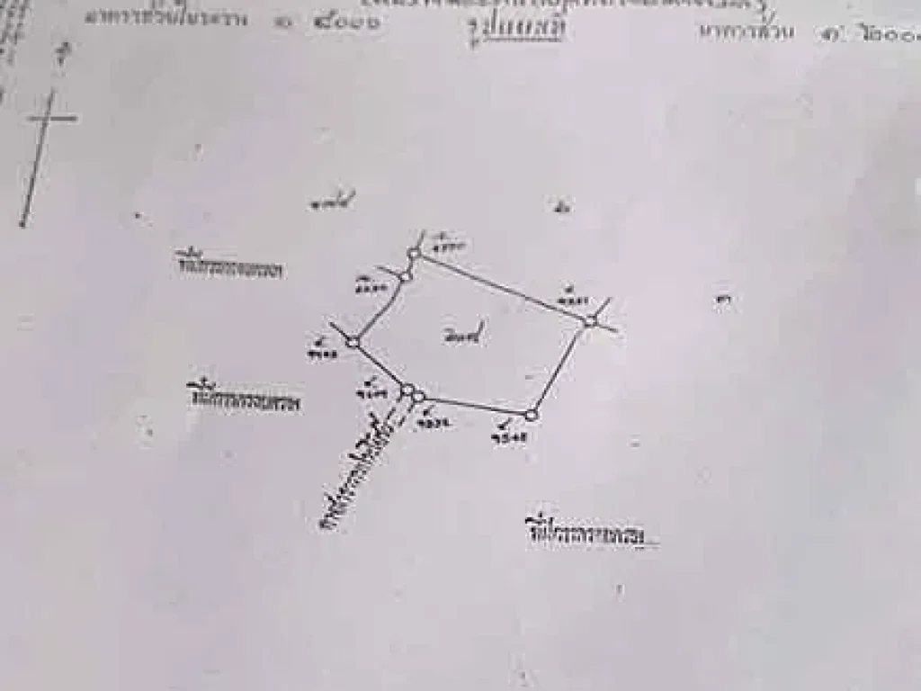 ขายที่ดินเหมาะทำการเกษตร มีน้ำตลอดปี บ้านโพธิ์ เมืองสุพรรณ