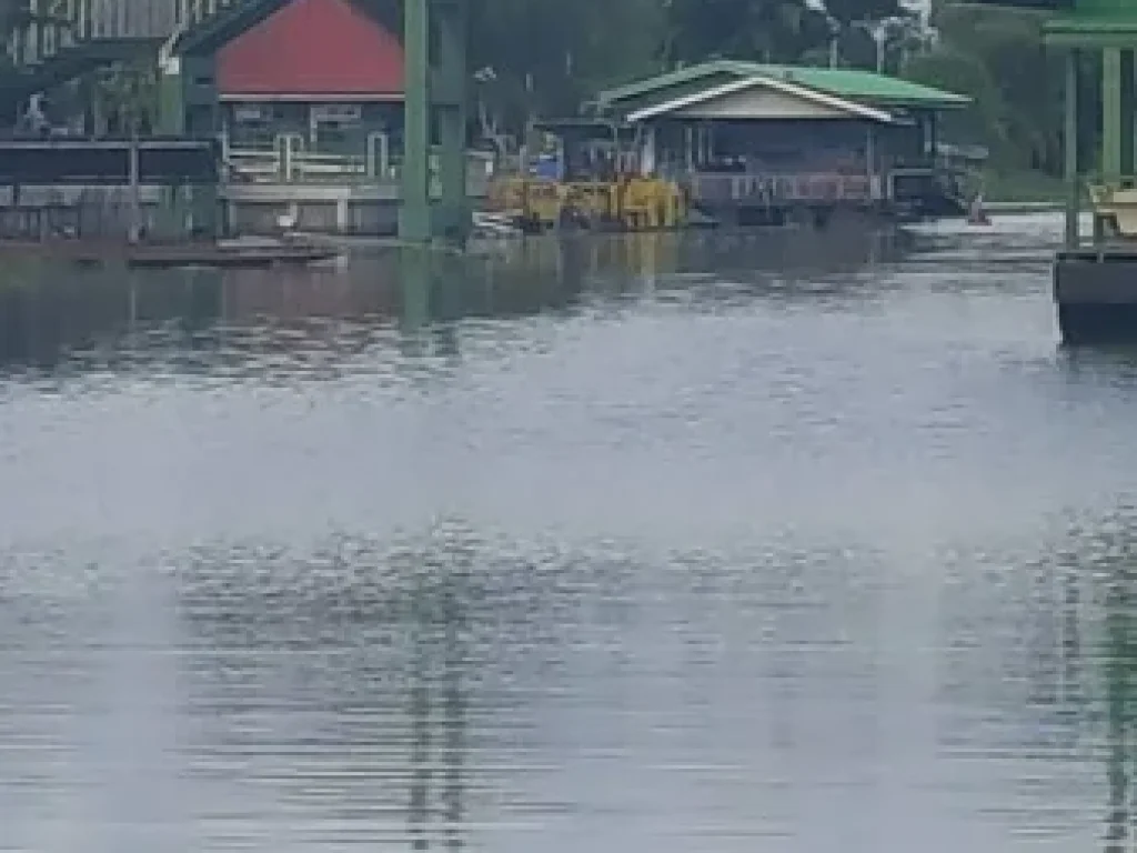 ขายที่ดินด้านหน้าติดถนนดำ ด้านหลังติดคลองมหาสวัสดิ์ อยู่หลัง Central ศาลายา เนื้อที่ 1-0-38 ไร่ ได้เนื้อที่งอกเพิ่มอีกประมาณ 100 ตรว