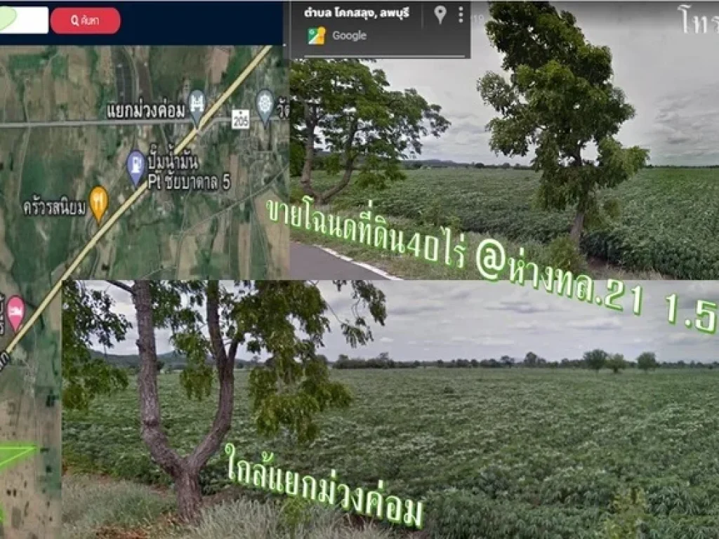 ที่สวยวิวเขาติดถนนลาดยาง ใกล้แยกม่วงค่อม โฉนดครุฑแดง 40 ไร่ ห่างทล21 15 กม