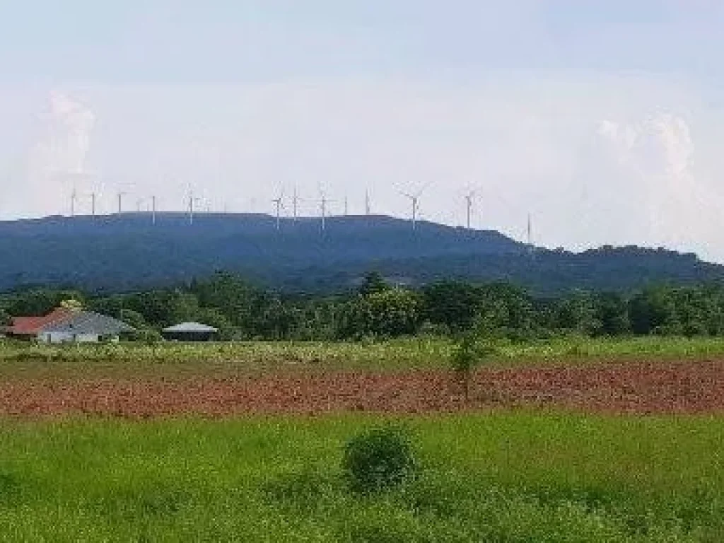 เจ้าของขายเอง ขายที่ดินโฉนด อสีคิ้ว ติดถนนสุดบรรทัด แปลงสวย พื้นที่ 37150 ไร่