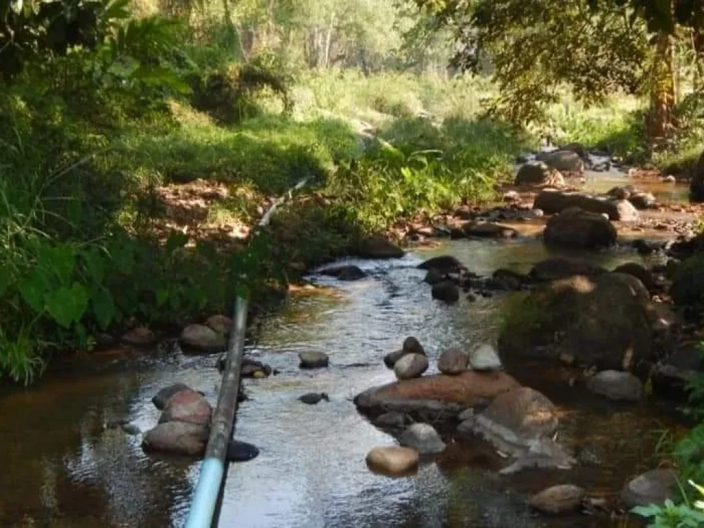 ขายบ้านหลวงข้าวสร้างใหม่ติดลำธารน้ำไหลผ่านดอยสะเก็ตโฉนดพร้อมโอน