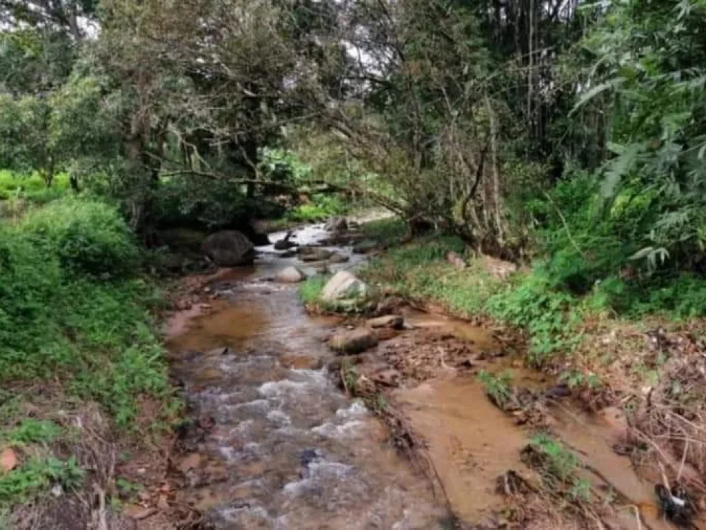 ขายบ้านหลวงข้าวสร้างใหม่ติดลำธารน้ำไหลผ่านดอยสะเก็ตโฉนดพร้อมโอน