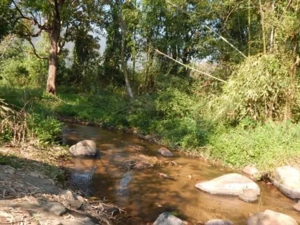 ขายบ้านหลวงข้าวสร้างใหม่ติดลำธารน้ำไหลผ่านดอยสะเก็ตโฉนดพร้อมโอน