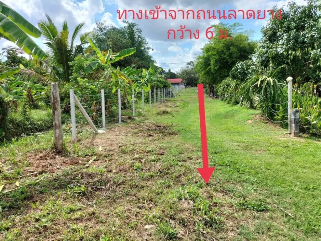 ขายที่ดิน 2-2 -908 ไร่ ตหินตั้ง นคานายก ไร่ละ2ล้านบาท