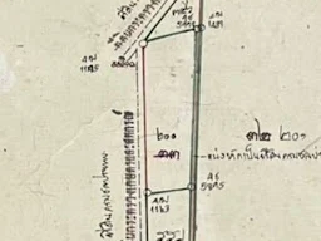 แบ่งขายที่ดิน 7 ไร่ ทำเลดีอำเภอสองพี่น้อง จังหวัดสุพรรณบุรี