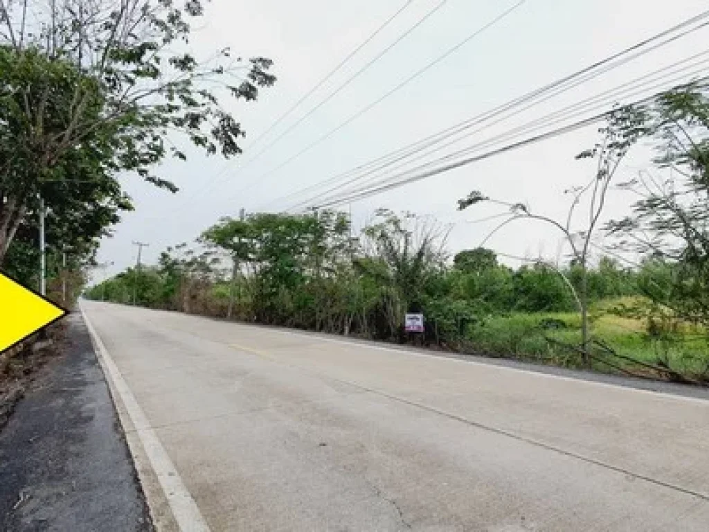 ขายที่ดินติดถนนคอนกรีต คลอง11-12 หนองเสือ ขนาด 1 ไร่ มีไฟฟ้า ประปาพร้อม ทำเล เหมาะค้าขาย ปลูกบ้าน