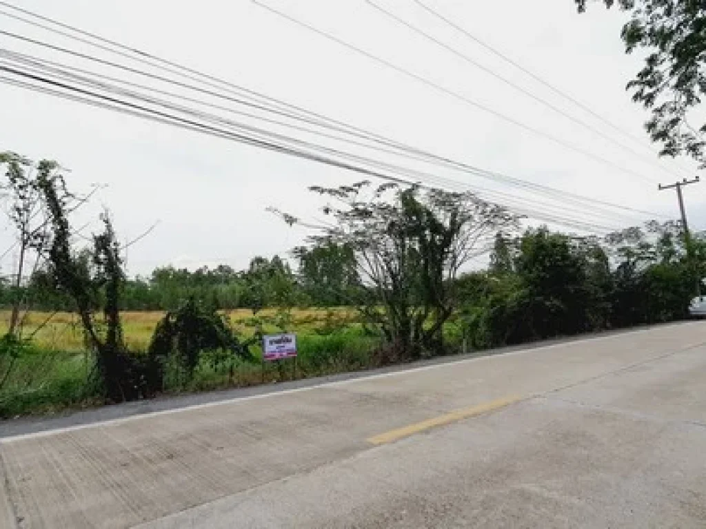 ขายที่ดินติดถนนคอนกรีต คลอง11-12 หนองเสือ ขนาด 1 ไร่ มีไฟฟ้า ประปาพร้อม ทำเล เหมาะค้าขาย ปลูกบ้าน